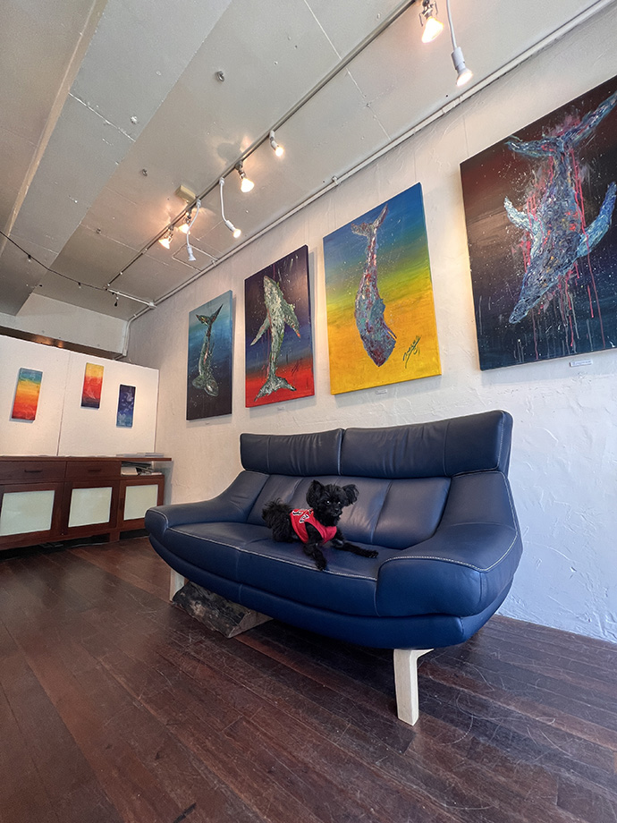 展示風景_兵庫西宮_G